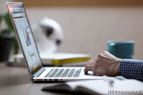 企業為何必須建設營銷型網站 提升管理與競爭力的關鍵